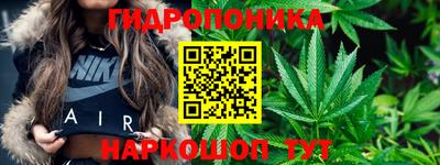 ешки Вязьма