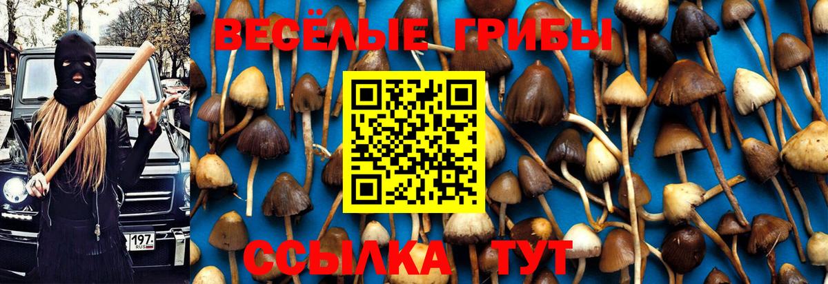 Псилоцибиновые грибы Magic Shrooms  Вход с VPN  Новотроицк 